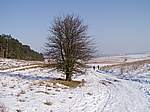 Winter 2