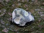 Fundsache 3