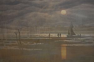 20 Greifswalder Feuchtgebiete