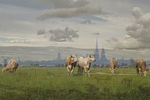 3 Kühe vor Greifswald