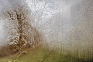4 Ruine mit Baum