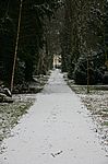Auf dem Wege