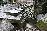 Versteinert