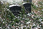 Zwillinge III