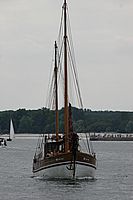 Wiking