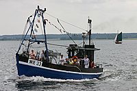 Wie 33