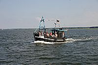 Wie 19