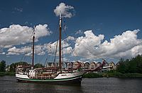 Albatros