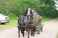 Parade des Gartzer Kutschenvereins
