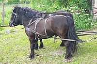 Hängen lassen