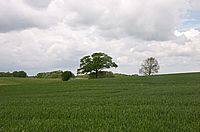 Idylle