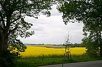 Durchblick