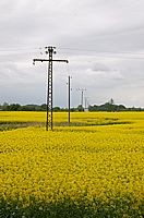 Raps & Strom I