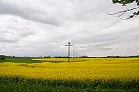 Raps & Strom II