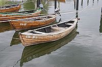 Boote