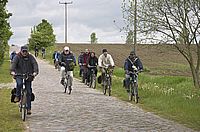 On the Pflasterroad V