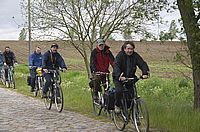 On the Pflasterroad II