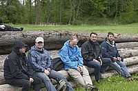 Baumreihe