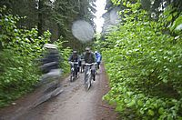 Durch den Wald
