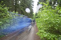 Durch den Wald