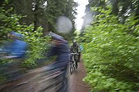 Durch den Wald
