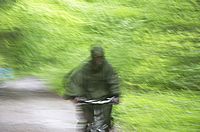 Durch den Wald