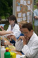 Experimentierfreude