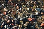 Viele Steine