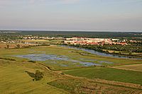 Vogelwiesen