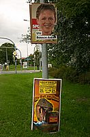 Oder auch Dionsaurier?